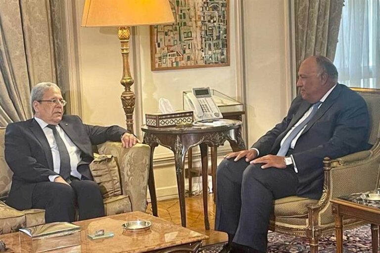 Egyptian, Tunisian foreign ministers hold talks