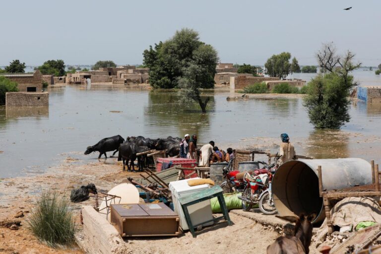 UN chief appeals to world to help badly flood-hit Pakistan