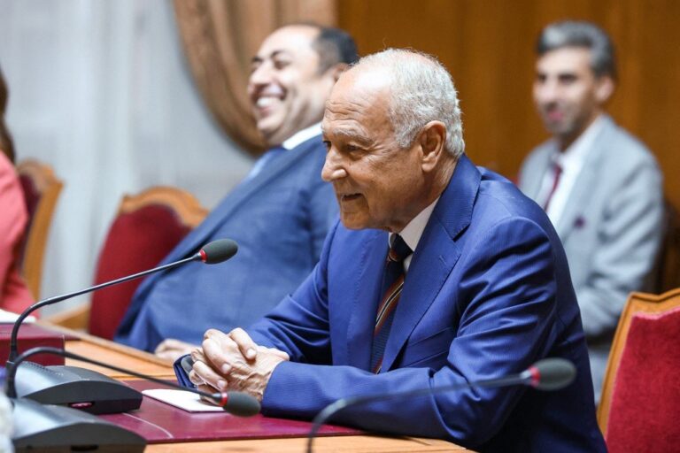 Arab League chief urges Spain to back Palestine at UN