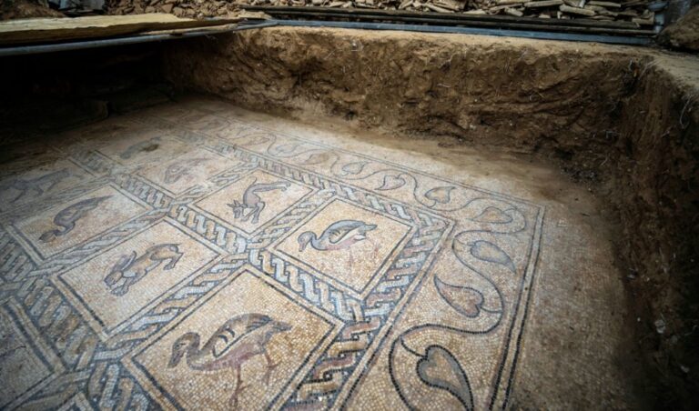 Byzantine mosaics discovered under Gaza farm