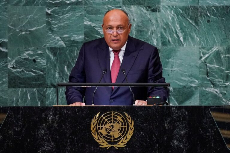 Urgent reform of UN needed, says Egypt’s FM Shoukry