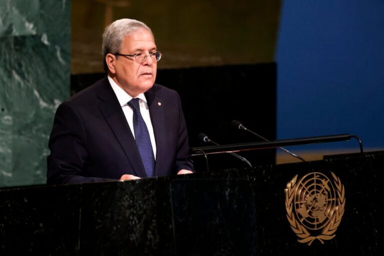 Tunisia promises democratic reform in UN address
