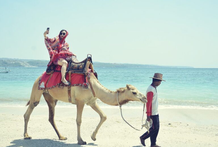 On Indonesia’s Bali, camels turn up for sunset tours