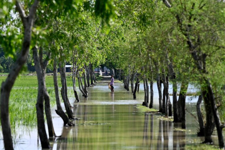 At least 13 die in Bangladesh after tropical storm hits