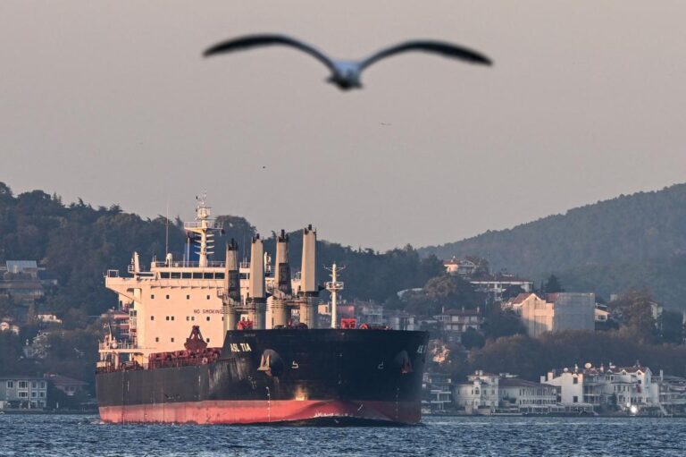 Six grain ships leave Ukraine ports after Russia rejoins deal: Turkiye