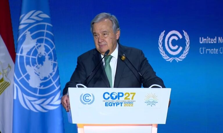 UN chief issues stark warning, Arab leaders pledge commitment to climate goals on opening day of COP27